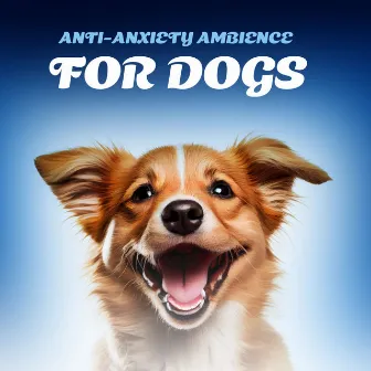 Anti-anxiety Ambience for Dogs by Music to Relax in Free Time