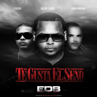 Te Gusta El Sexo (feat. Fuego & Juan Magan) by Ricky Lindo