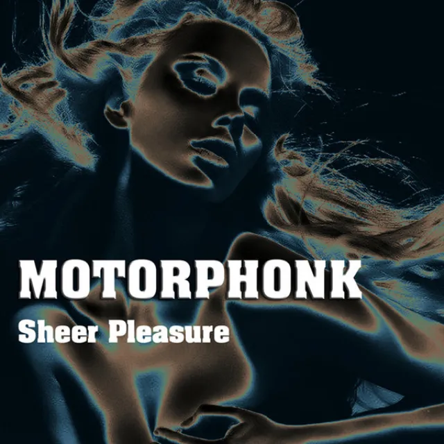 Sheer Pleasure (Motorphonk festival remix)