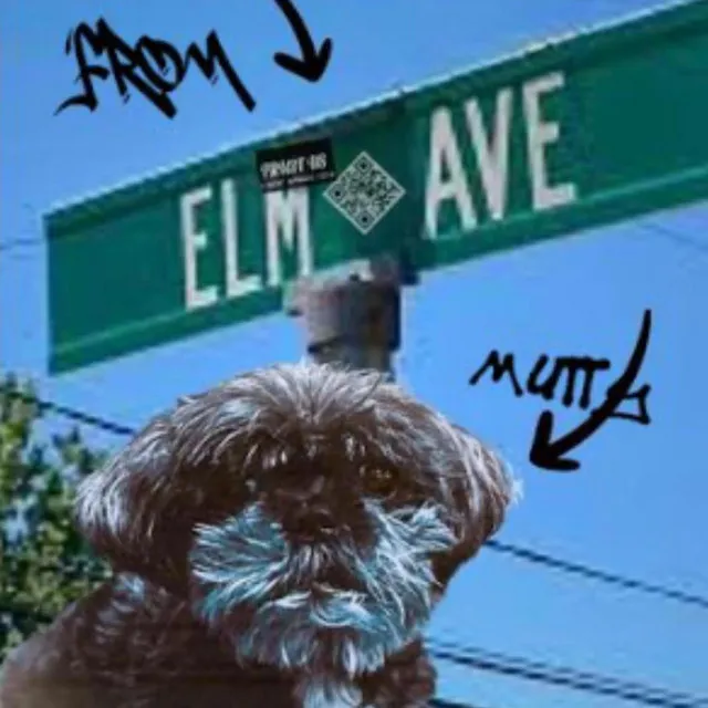 Mutty From Elm Ave.