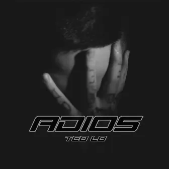 Adiós by Teo LB