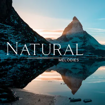 Natural Melodies: New Age Music For Relaxing, Sleeping, Meditation, Full Healing by Nature Vox