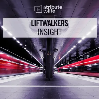 Insight by Liftwalkers