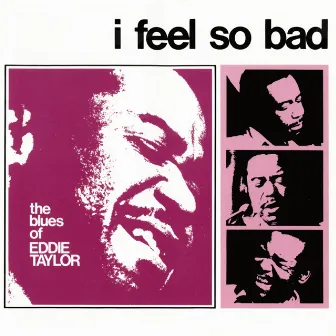 I Feel So Bad by Eddie Taylor