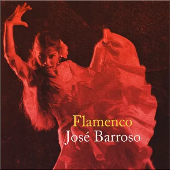 Flamenco by José Barroso