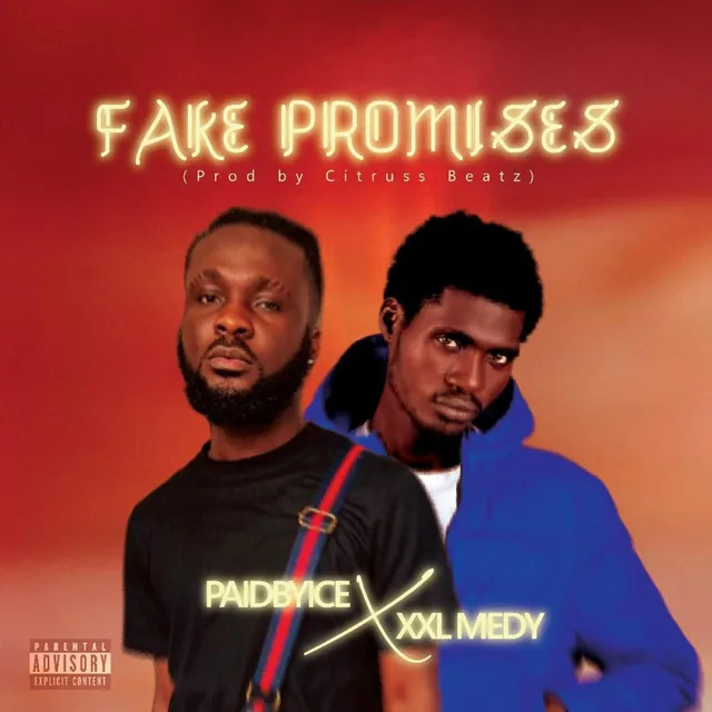 Fake Promises