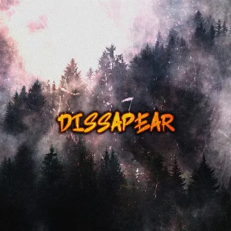 Dissapear by Leigh