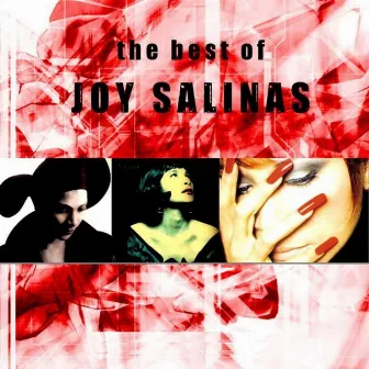 The Best of Joy Salinas (Greatest Hits) by Joy Salinas