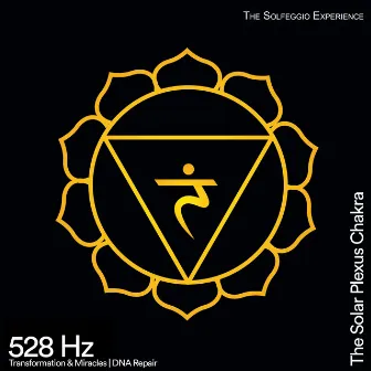 528 Hz Transformation & Miracles DNA Repair (The Solar Plexus Chakra) by The Solfeggio Experience