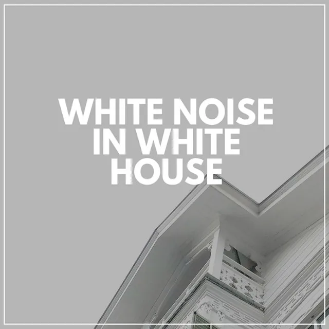 White Noise in White House