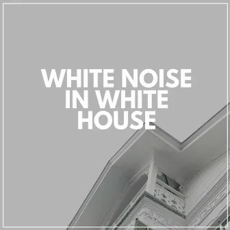 White Noise in White House by Loopable White Noise