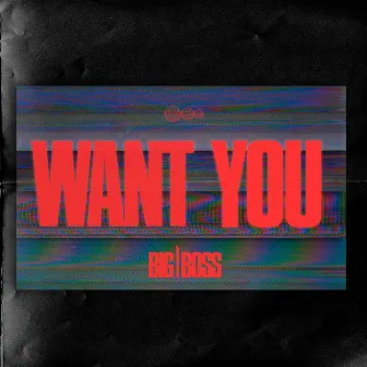 Want You by Big Boss