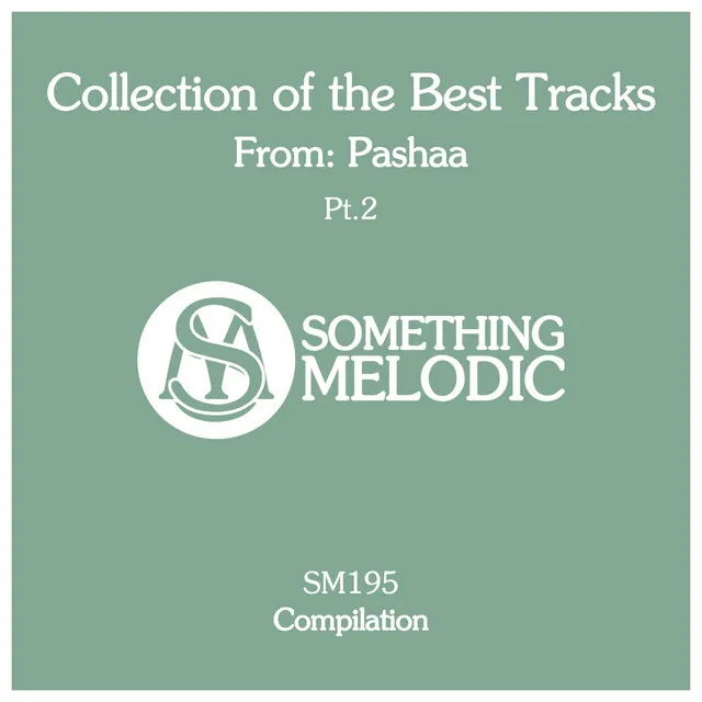 Collection of the Best Tracks From: Pashaa, Pt. 2