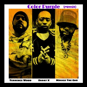 Color Purple (Remix) by Terrence Wood