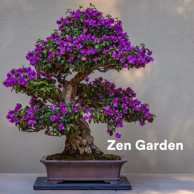 Zen Garden