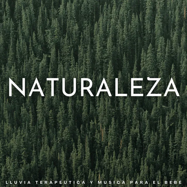 Naturaleza: Lluvia Terapéutica Y Música Para El Bebé