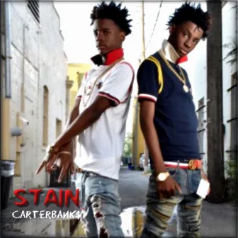 Stain by Carterbanks