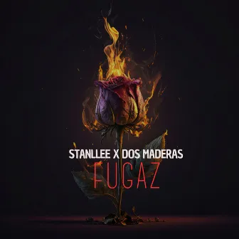 Fugaz by Stanllee