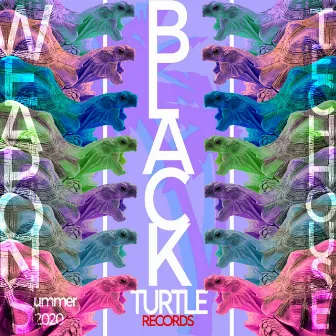 Black Turtle Weapons Tech House Summer 2020 by OutCode