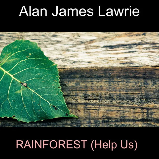 Rainforest (Help Us)