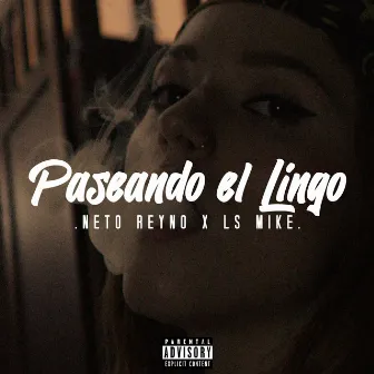 Paseando el Lingo by Ls Mike