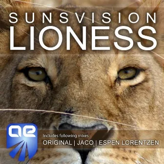 Lioness by Sunsvision