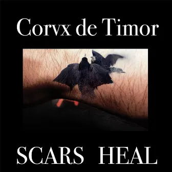 Scars Heal by Corvx De Timor