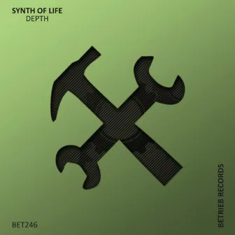 Depth by Synth Of Life