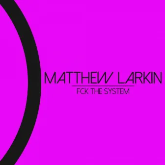 Fck The System by Matthew Larkin