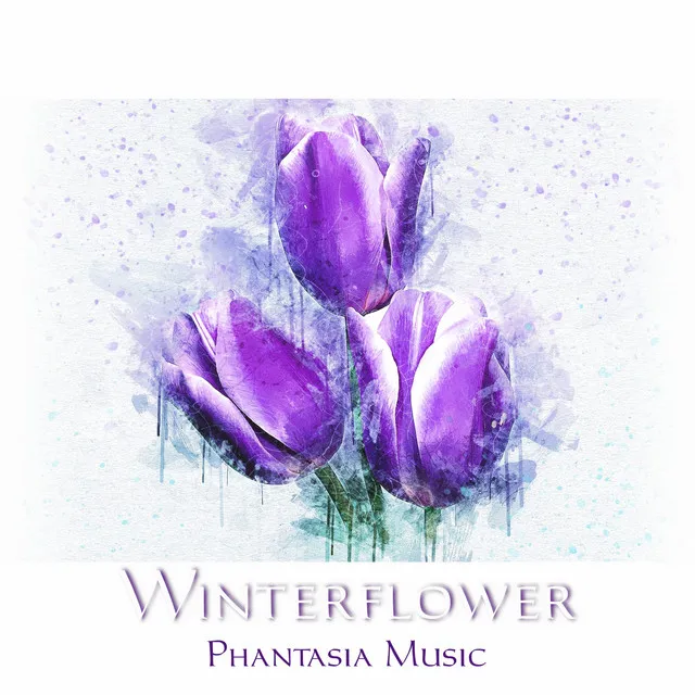 Winterflower