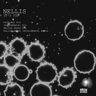 It's You by Nellis