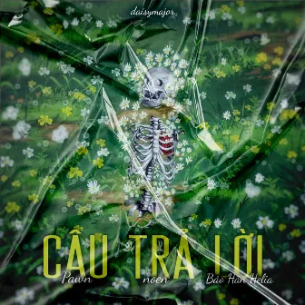 Câu Trả Lời by NOEN