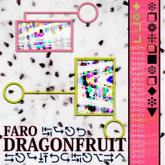 DRAGONFRUIT by FARO