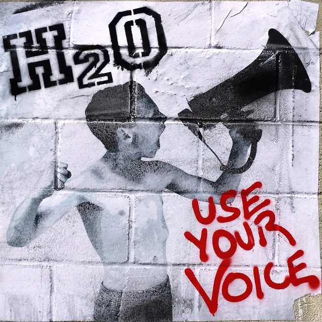 Use Your Voice