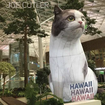 Hawaii Hawaii Hawaii (Live) by Joe Cutler