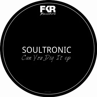 Can You Dig It EP by Soultronic