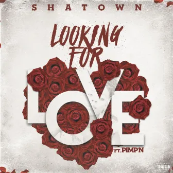 Looking For Love by Shatown