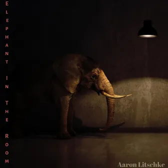 Elephant in the Room by Aaron Litschke