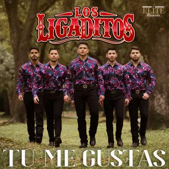 Tu Me Gustas by Los Ligaditos