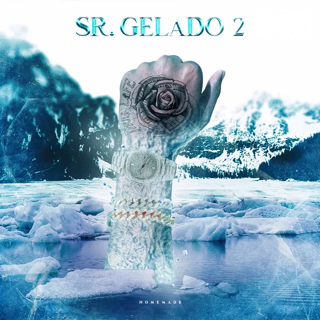 Sr. Gelado 2