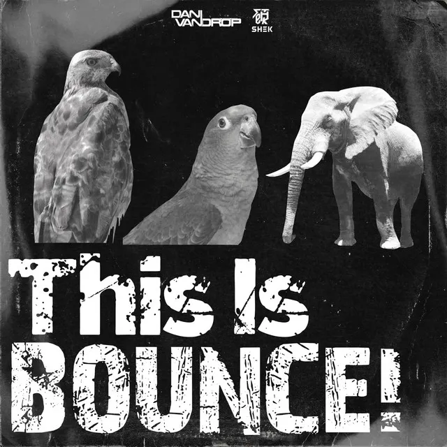 This Is BOUNCE!