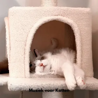 Muziek voor katten by Muziek voor Katten Stemmingen