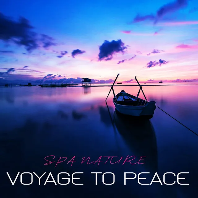 Voyage to Peace