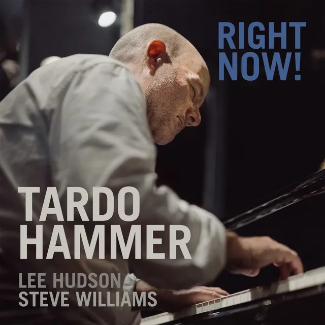 Tardo Hammer