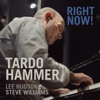 Right Now! by Tardo Hammer