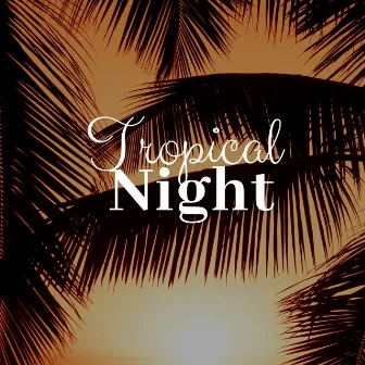 Tropical Night 33 - Relaxing HQ Music for Sleeping by Sean Clear