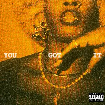 You Got It by Zyah Belle