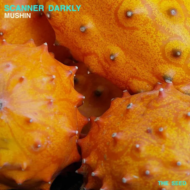 Mushin - Sappow Remix