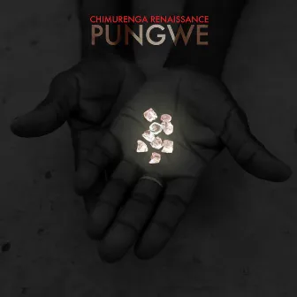 Pungwe by Chimurenga Renaissance