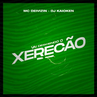 Vai Descendo o Xerecão by MC Deivizin